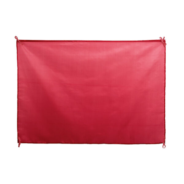 Bandeira DAMBOR - Image 4