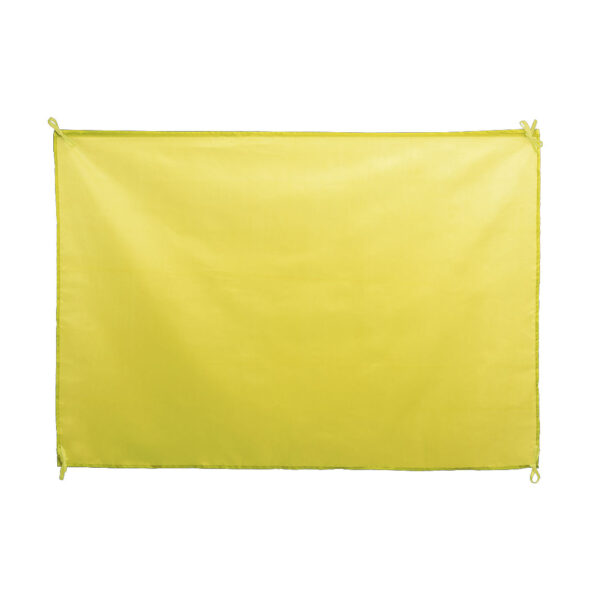 Bandeira DAMBOR