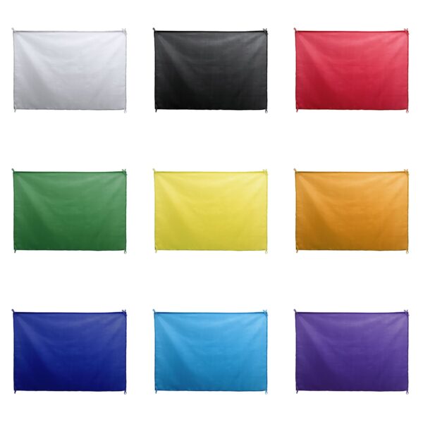 Bandeira DAMBOR - Image 11
