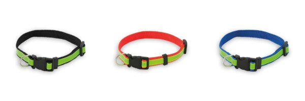 COLAR MUTTLEY - Image 2